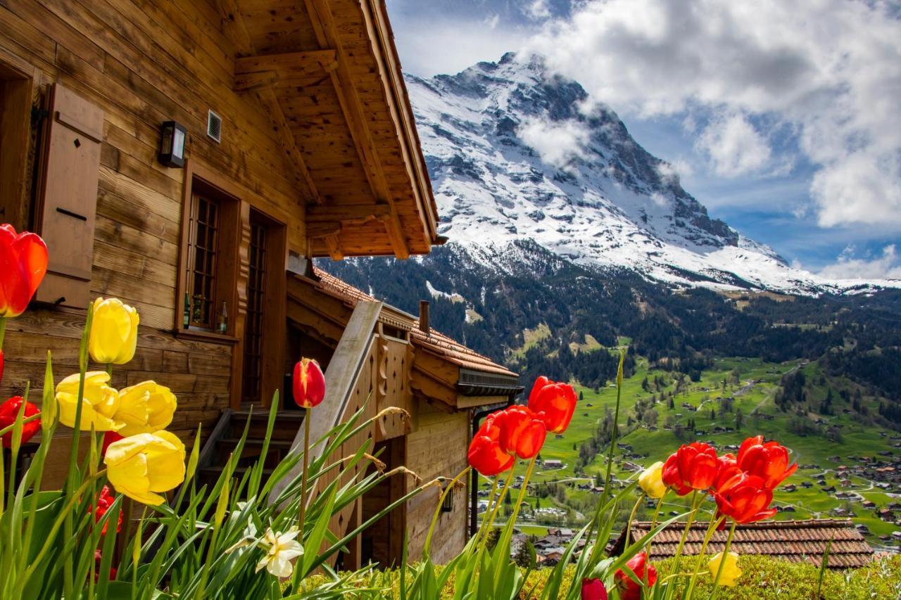 Chalet Caramelle جريندلوالد المظهر الخارجي الصورة
