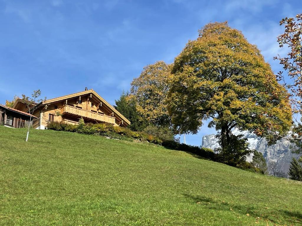 Chalet Caramelle جريندلوالد المظهر الخارجي الصورة