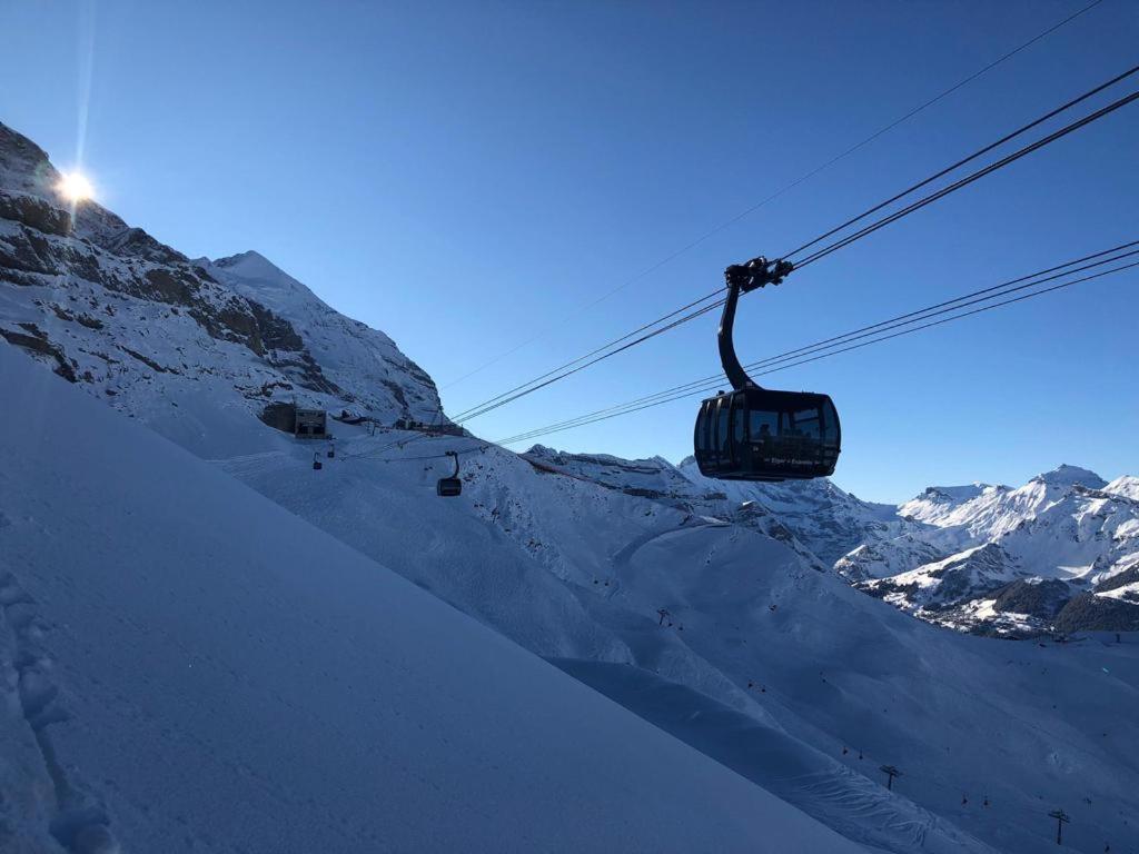 Chalet Caramelle جريندلوالد المظهر الخارجي الصورة