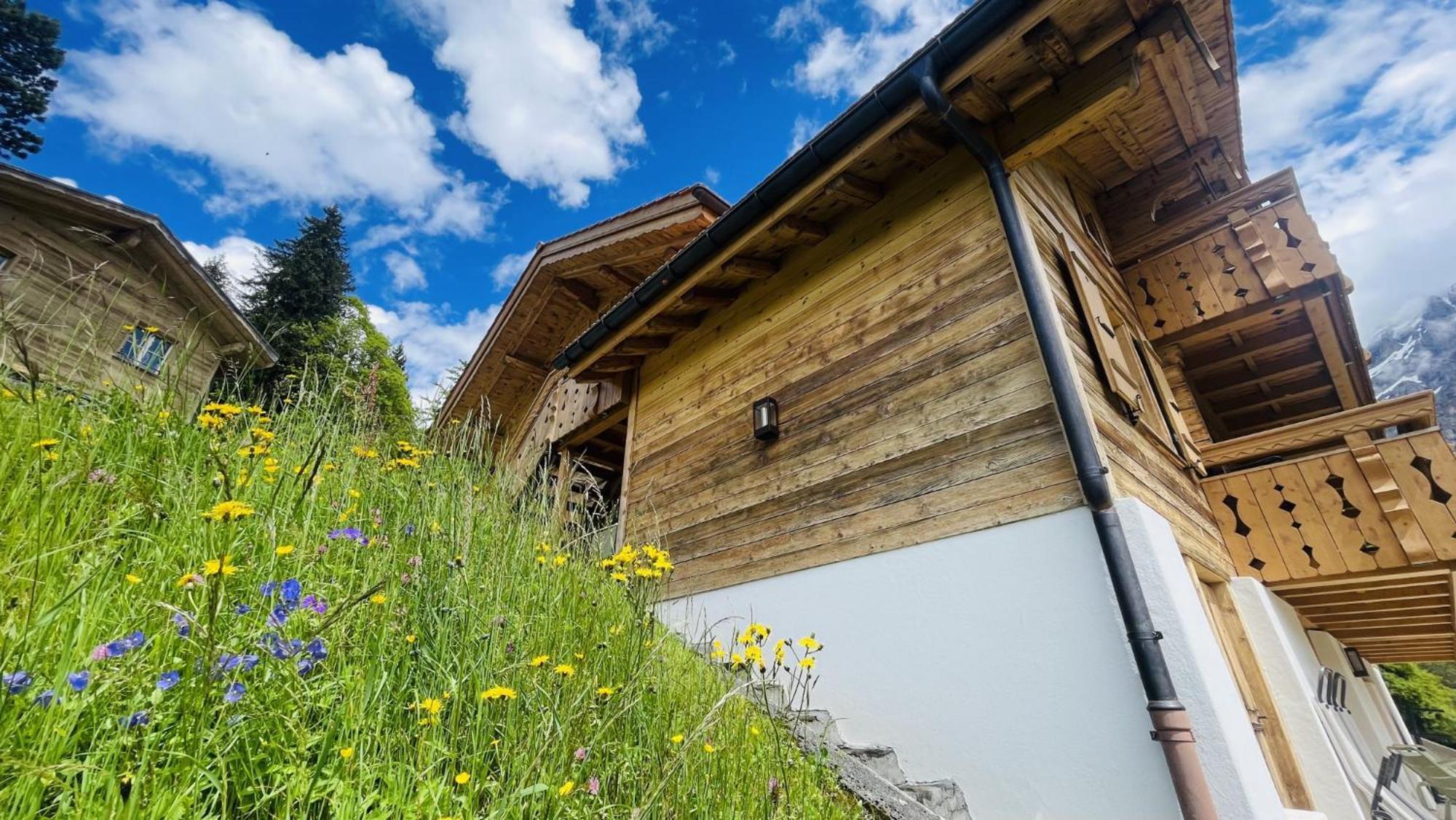Chalet Caramelle جريندلوالد المظهر الخارجي الصورة